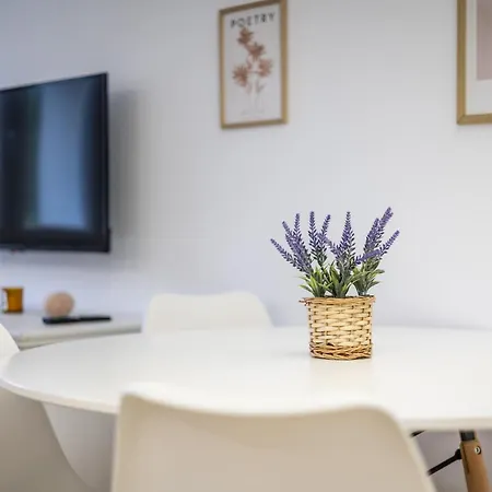 The - Vut6445as Appartement